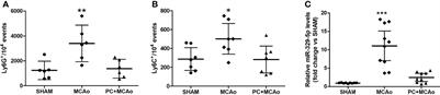 Ischemic Preconditioning Modulates the Peripheral Innate Immune System to Promote Anti-Inflammatory and Protective Responses in Mice Subjected to Focal Cerebral Ischemia